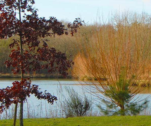 Accompagnement naturopathe détox monodiète