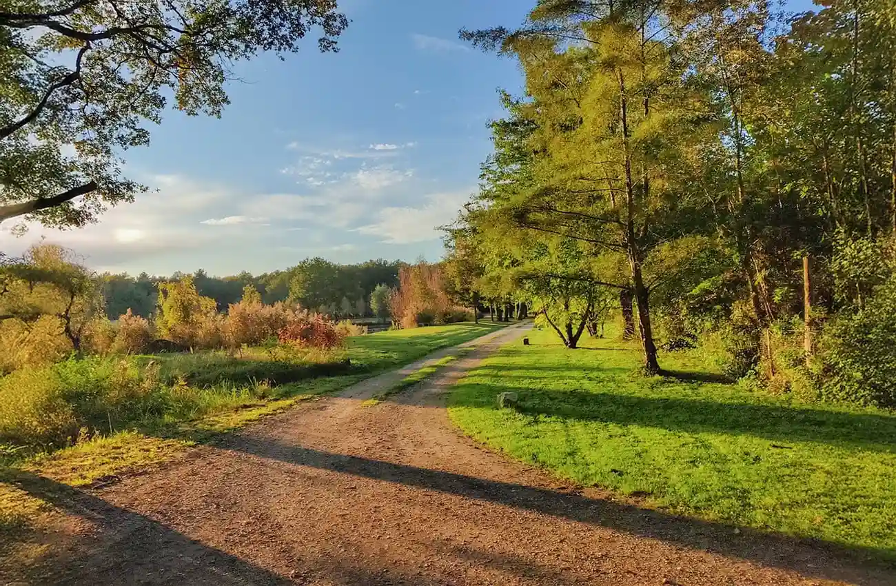 Centre de détox en Sologne