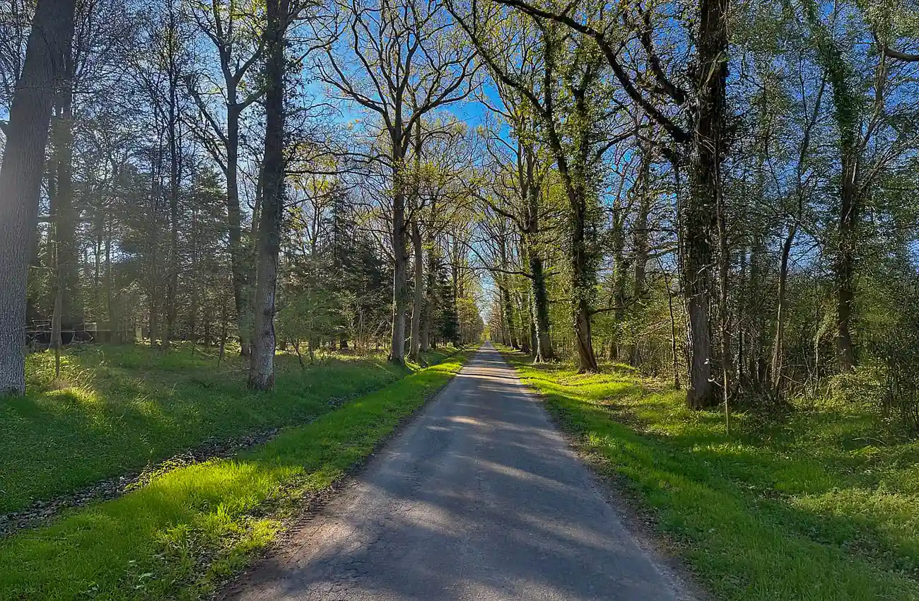 Séjour cure de jus en Sologne