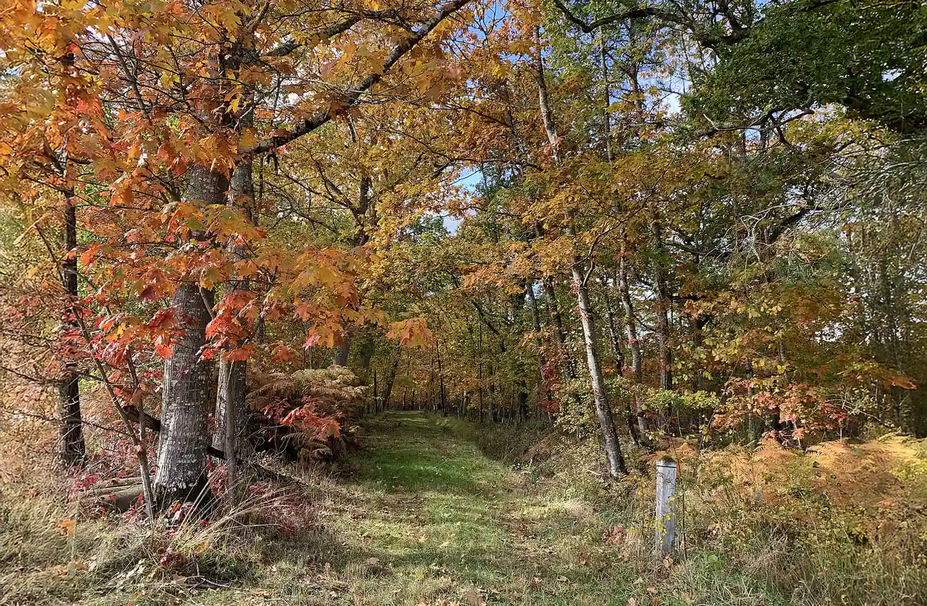 Séjour de détox en Sologne