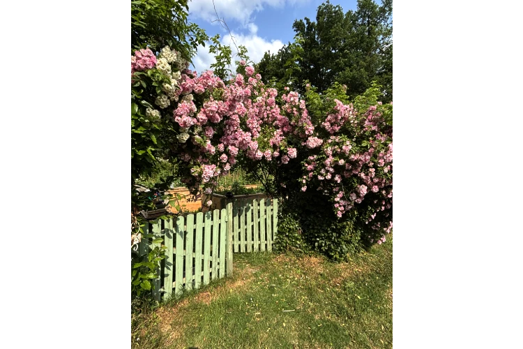 jardin-detox-en-sologne